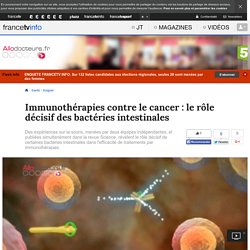 Immunothérapies contre le cancer : le rôle décisif des bactéries intestinales