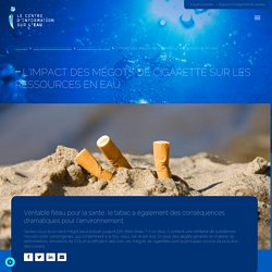 L’impact des mégots de cigarette sur l'eau