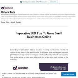 Imperative SEO Tips To Grow Small Businesses Online – Datota Tech