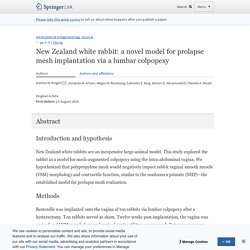 New Zealand white rabbit: a novel model for prolapse mesh implantation via a lumbar colpopexy