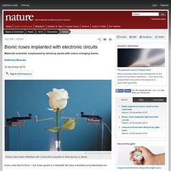 Bionic roses implanted with electronic circuits