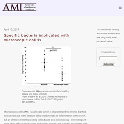 Specific bacteria implicated with microscopic colitis — The American Microbiome Institute
