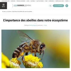 L'importance des abeilles dans notre écosystème : les menaces
