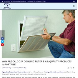 Why are Caloosa Cooling Filter & Air Quality Products Important?
