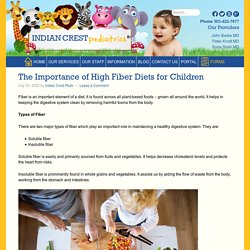 Importance of High Fiber Diets for Children - Indian Crest Pediatrics