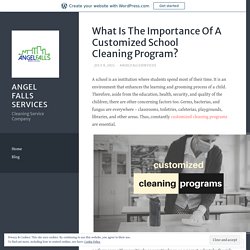What Is The Importance Of A Customized School Cleaning Program?