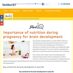 Importance of Nutrition during Pregnancy for Brain Development