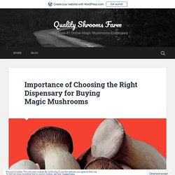 Importance of Choosing the Right Dispensary for Buying Magic Mushrooms