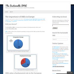 The importance of SMEs in Europe « The Sustainable SME