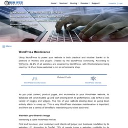 The Importance of Maintaining Your WordPress Database