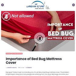 Importance of Bed Bug Mattress Cover