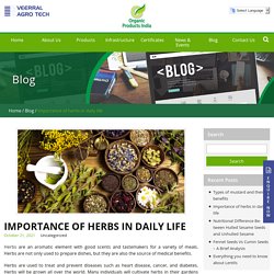 Importance of herbs in daily life