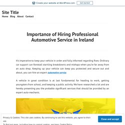 Professional Automotive Service Company in Ireland