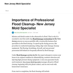 Importance of Professional Flood Cleanup- New Jersey Mold Specialist