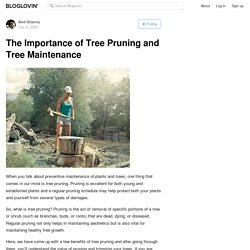 The Importance of Tree Pruning and Tree Maintenance