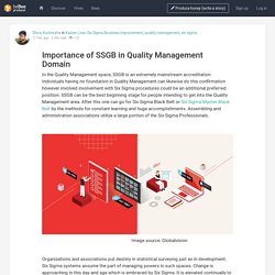 Importance of SSGB in Quality Management Domain