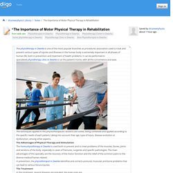 The Importance of Motor Physical Therapy in Rehabilitation