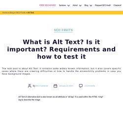 Alt Text - Importance, Requirements, Tests