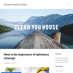 What Is the Importance of Upholstery Cleaning? - Toronto Steam N Clean