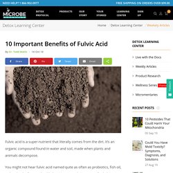 10 Important Benefits of Fulvic Acid - Microbe Formulas™