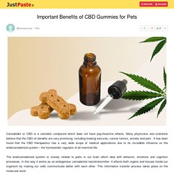 Important Benefits of CBD Gummies for Pets