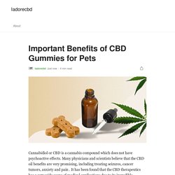 Important Benefits of CBD Gummies for Pets