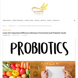 Learn the Important Difference Between Fermented and Probiotic Foods