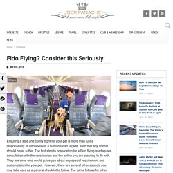 Important Tips For Flying with Fido - Travel Tips - UberPanache