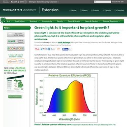 Green light: Is it important for plant growth?