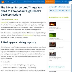 The 6 Most Important Things You Need to Know about Lightroom's Develop Module