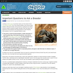 Important Questions to Ask a Breeder