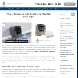 Why Is It Important to Repair and Maintain Burst Pipe?