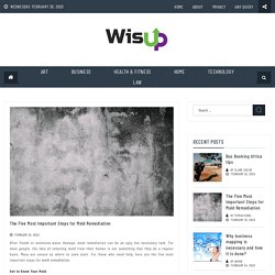 The Five Most Important Steps for Mold Remediation - Wis Up