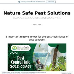 5 important reasons to opt for the best techniques of pest control – Nature Safe Pest Solutions
