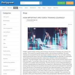 HOW IMPORTANT ARE FOREX TRAINING COURSES? » Dailygram ... The Business Network