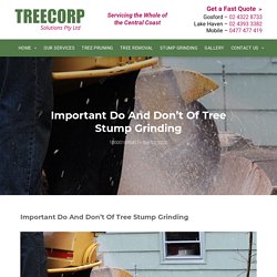 Important Do And Don’t Of Tree Stump Grinding