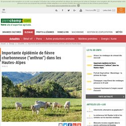AFP 20/08/18 Importante épidémie de fièvre charbonneuse ("anthrax") dans les Hautes-Alpes