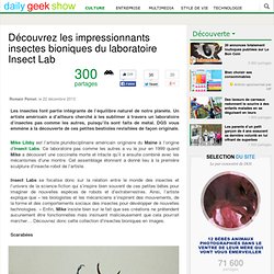 Découvrez les impressionnants insectes bioniques du laboratoire Insect Lab