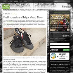 First Impressions of Feiyue Wushu Shoes