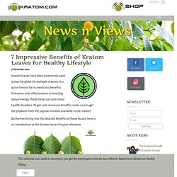 7 Impressive Benefits of Kratom Leaves for Healthy Lifestyle