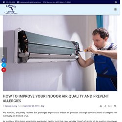 Improve Your Indoor Air Quality and Prevent Allergies