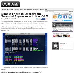 Simple Tricks to Improve the Terminal Appearance in Mac OS X