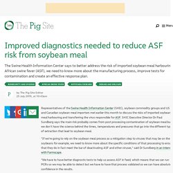 PIGSITE 25/07/19 Improved diagnostics needed to reduce ASF risk from soybean meal