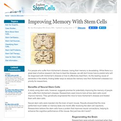 improving-memory-stem-cells