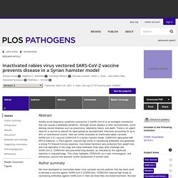 PLOS 25/03/21 Inactivated rabies virus vectored SARS-CoV-2 vaccine prevents disease in a Syrian hamster model