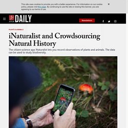 iNaturalist and Crowdsourcing Natural History