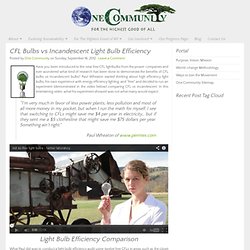 CFL vs Incandescent Bulbs: An Overview of an Energy Efficiency Lighting Experiment by Paul Wheaton