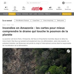 Incendies en Amazonie : les cartes pour mieux comprendre le drame qui touche le poumon de la planète