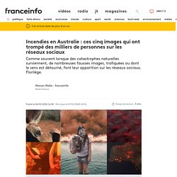 Incendies en Australie : ces cinq images qui ont trompé des milliers de personnes sur les réseaux sociaux - France Info