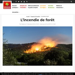 Incendies et feux de forêt, dossier complet - Prévention Incendie Forêt